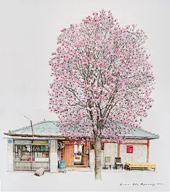 原来杂货店也能如此美丽清新，来自韩国的街头小店插画 - 治愈系图片
