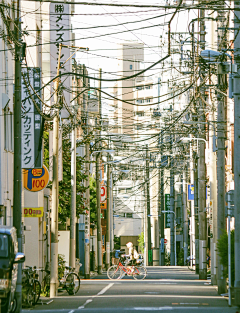 花落有意、采集到景-摄影