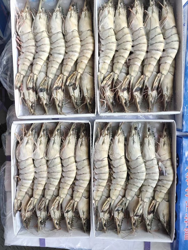 1-6黑虎虾 草虾一盒12头冷冻斑节虾青...