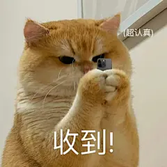 可爱猫猫表情包_4_吃了饼干_来自小红书网页版