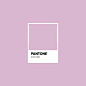 #Pantone Lilac