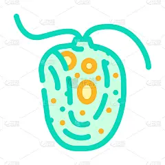 衣藻莱茵海藻颜色图标矢量插图