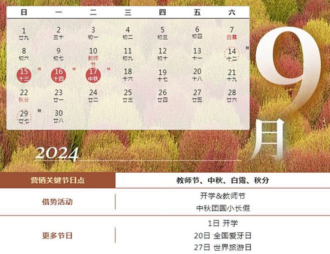 【市场营销落地技能——运营】2024全年...