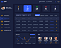 Hair Stylist Dashboard