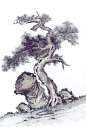 脑细胞-古树画(29)
