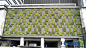 植物墙案例,立体绿化绿化案例,垂直绿化项目,墙体绿化项目,绿植墙工程图-上海海纳尔（迩）公司