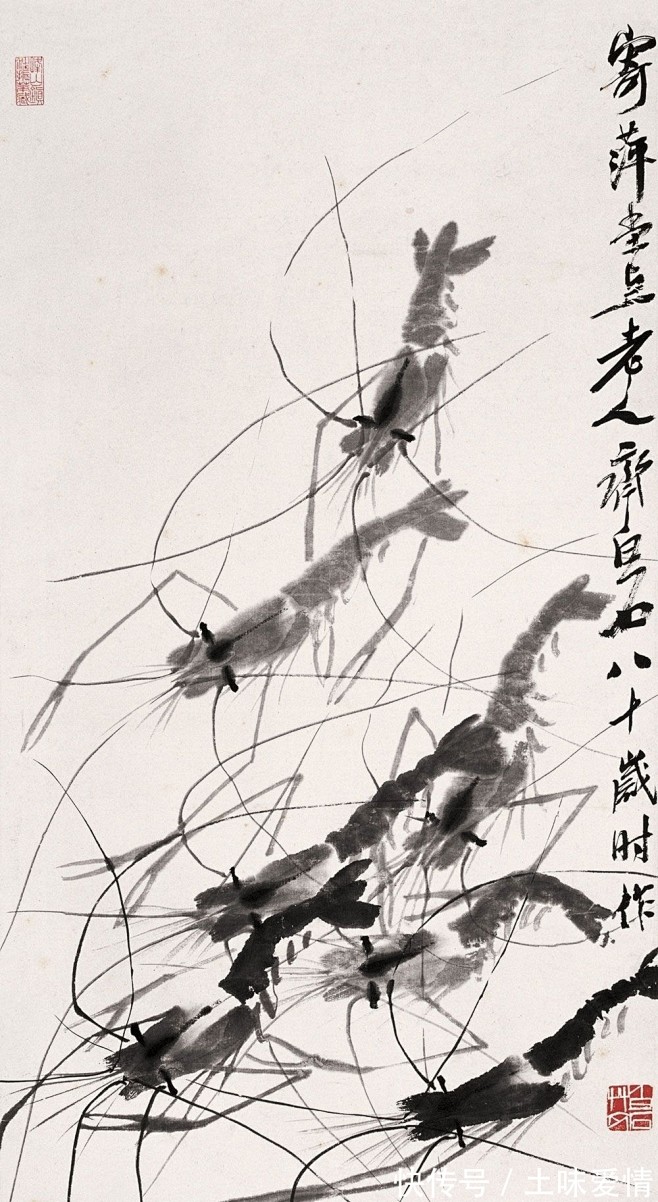 水芋游虾图 齐白石