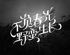 花体字/曲线字 on Behance
