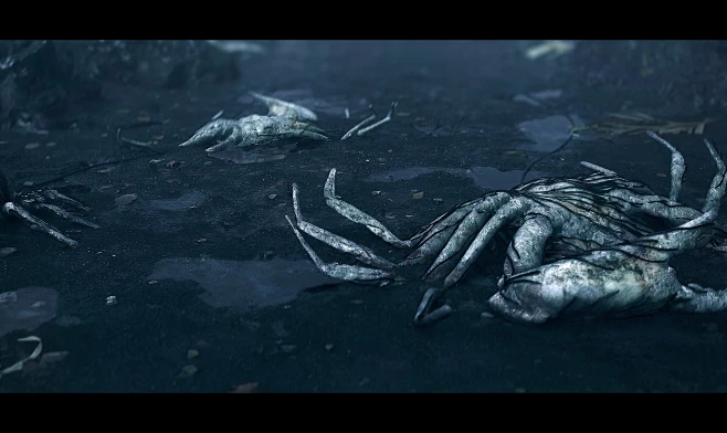 Death Stranding-花瓣网