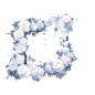 纯白花框//高清png免扣可商用 - 小红书