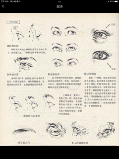 兔小扬采集到眼睛