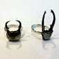 Coming soon! Beetle head earrings cast from a real beetle. Feel free to convo me for more details.