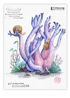 一念花开99采集到植物插画