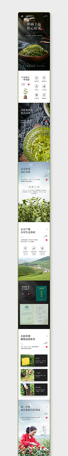 徐V非采集到茶叶