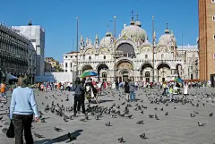 威尼斯超值半日游（经典徒步之旅+总督府+圣马可大教堂）/Absolute Venice - Walking Tour, Doge's Palace &amp; St Mark's Basilica (Skip the Line)_意大利旅游-任游网