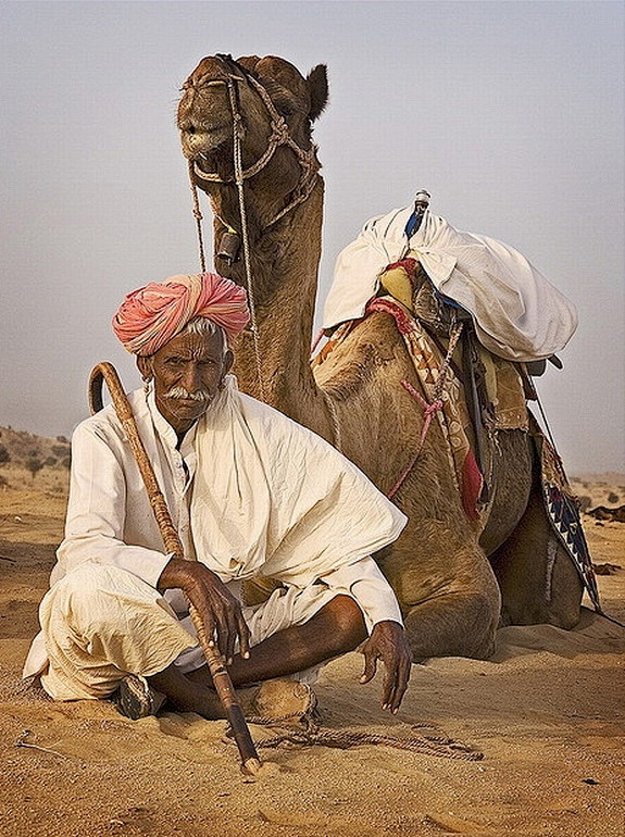 【印度】駱駝