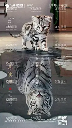 房地产儿童节海报  - 源文件下载【酷图网】海报,房地产,儿童节,公历节日,猫,老虎,倒影,