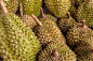 Durian in the market