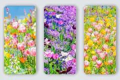 原图壁纸：春暖花开时，莫负好时光-图2