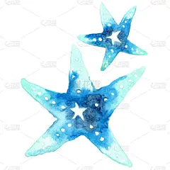 海星水彩插画，用于装饰海洋生物和沿海生活。