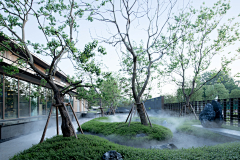 又丸子采集到绿岛景观