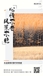 旅游杂志风正能量文案早安晚安风景日签手机海报