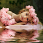 pink lady