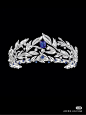 ff8ada8d0a9bdc8dca3d5050bd03139