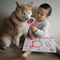#萌##壁纸# #宠物##狗狗##萌娃#