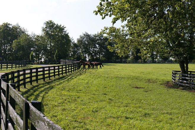 Farm Tour