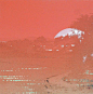 温柔恬静的画面  .  日本艺术家 斉藤和 ​​​​