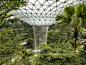 星耀樟宜，新加坡 / Safdie Architects : 樟宜机场的“心与魂”: 以社区为导向的全新建筑类型