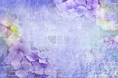 花明信片。可作为贺卡、婚宴请柬、生日等节假日发生。绣球花。艺术花卉的背景。美丽的绣球与复制空间.