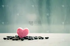 下雨天用咖啡豆做心粉饼干