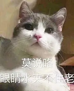 一组猫猫哭哭表情包 ​​​​