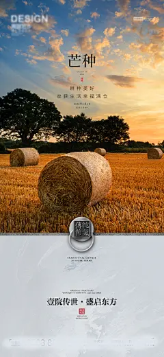 芒种传统节气二十四节气宣传海报