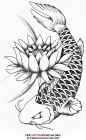 pictures of lotus tattoo drawings | ... some more designs that can help you get ideas for your koi tattoo