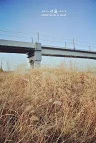 路过心上的风景