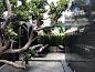 Kanut House Cafe / PDA Puredesigns Associate,© May-T Ueda