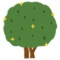 大头树