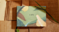 Snipaste_2024-11-02_16-14-26