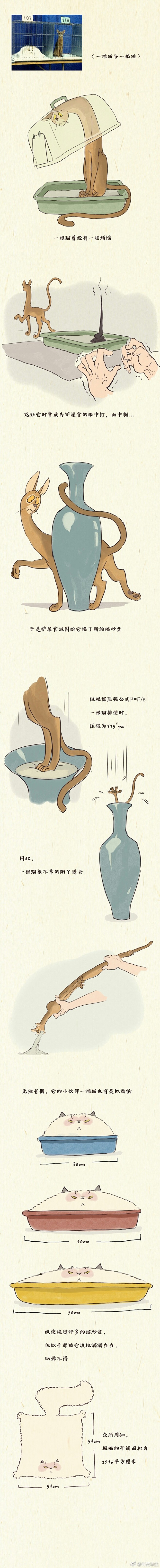 钟离华虫的照片 - 微相册