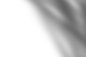 窗影 (1)
