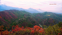 老板_该涨工资啦采集到HD_风景摄影（ MP素材）