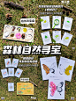夏日自然美育｜森林自然寻宝大冒险