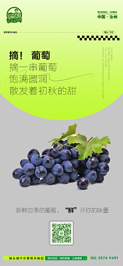Linnnnner采集到【排版】电商