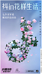 flower TikTok 产品摄影 创意摄影 抖音 电商摄影 花卉 静物摄影