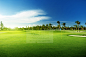 蓝天下的高尔夫球场高清摄影图片 - 素材中国16素材网