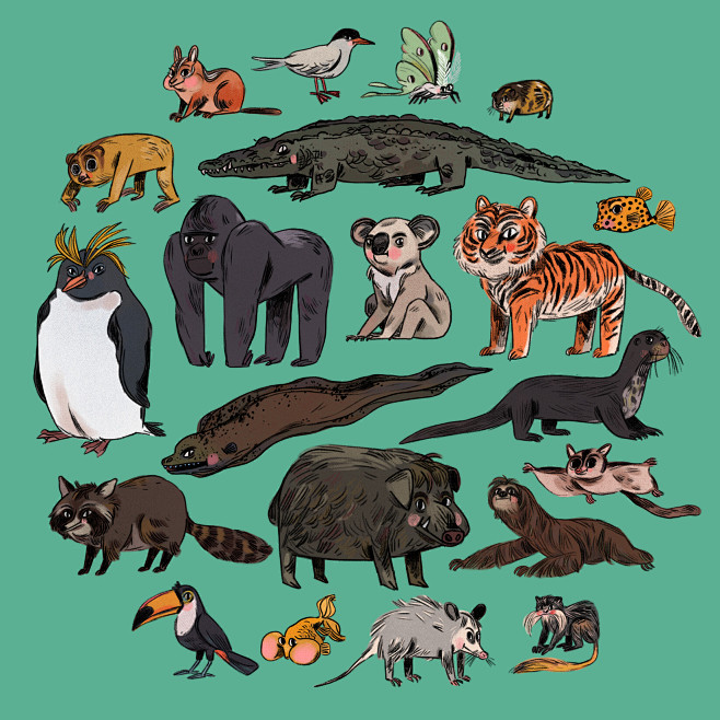 The Animal Conundrum...