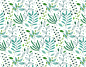Leaves 项目 | Behance 上的照片、视频、徽标、插图和品牌